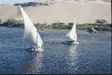 Feluccas on the Nile.