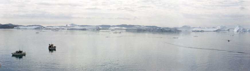 Icebergs off Illulisat.