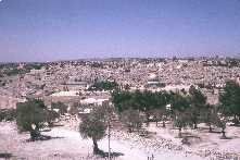Jerusalem from Mt. o f Olives.