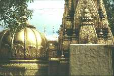 Golden Temple - Banaras