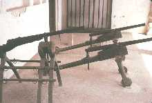 Guns in Fort museum
